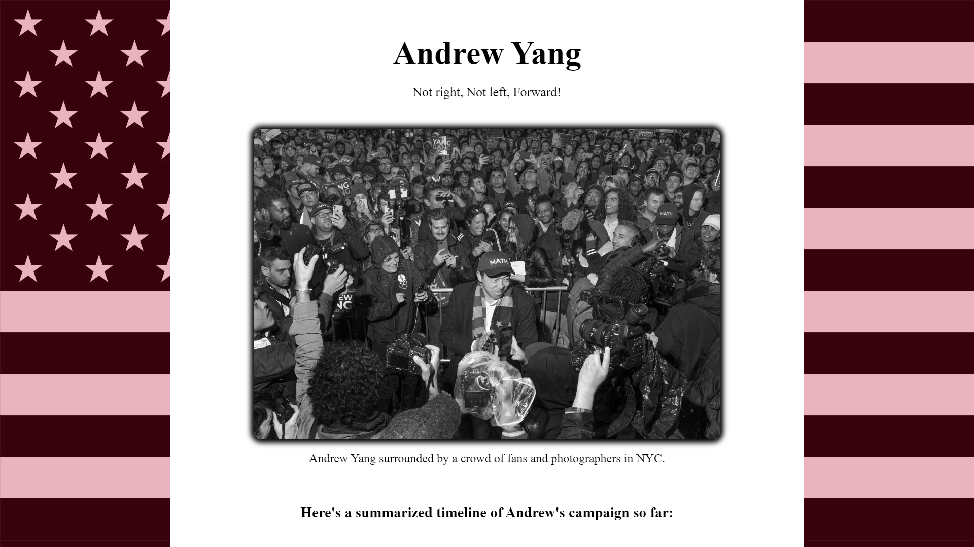 Andrew Yang Tribute Website