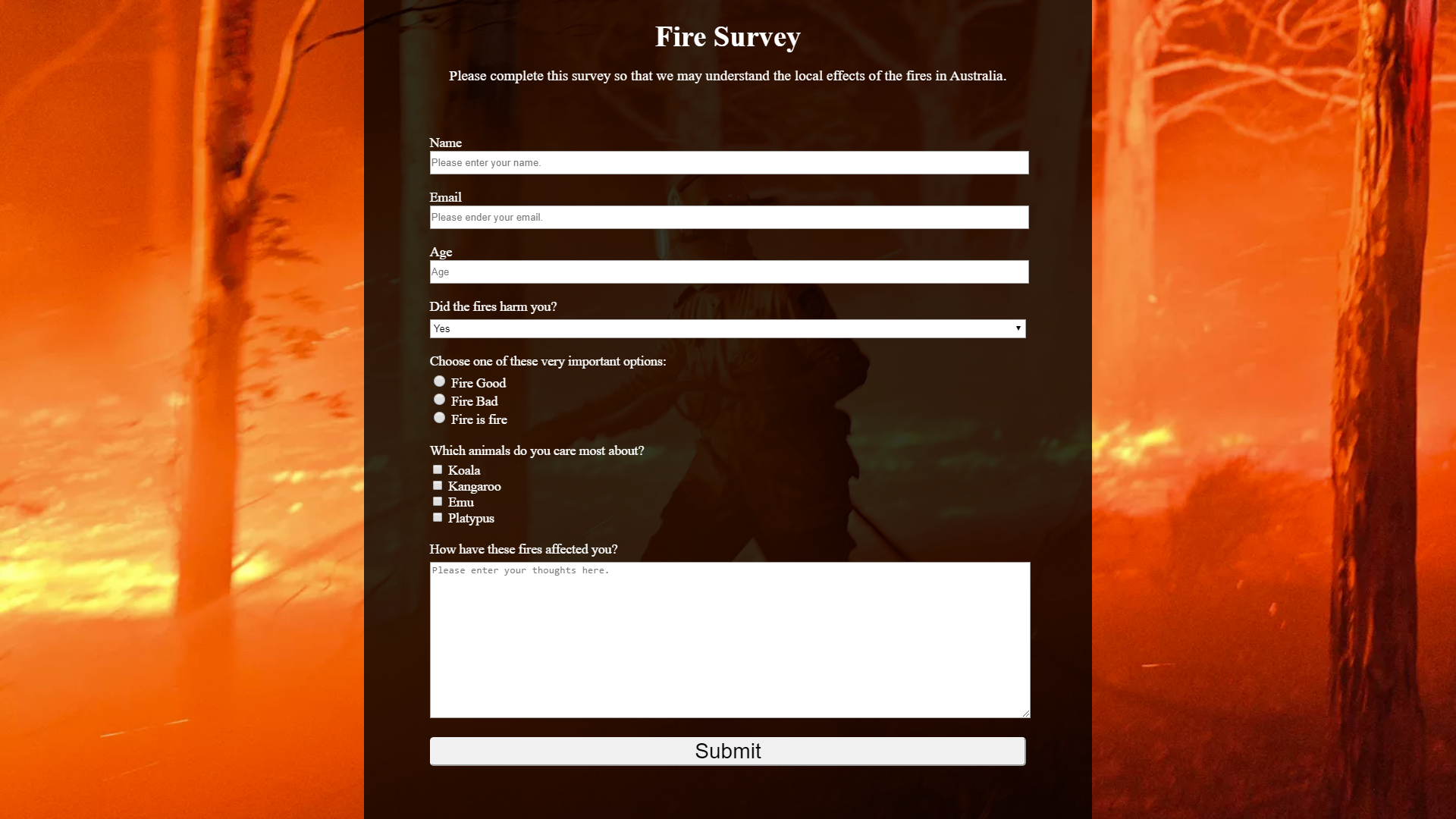 Fire Survey Website